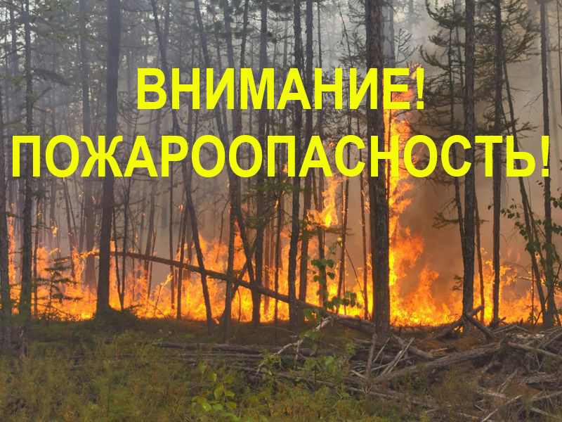 Указом Губернатора Архангельской области от 6 сентября 2024 г. на территории Архангельской области установлен особый противопожарный режим.