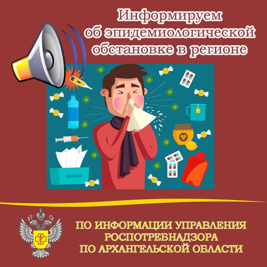 Управление Роспотребнадзора по Архангельской области информирует об эпидемиологической обстановке в регионе.