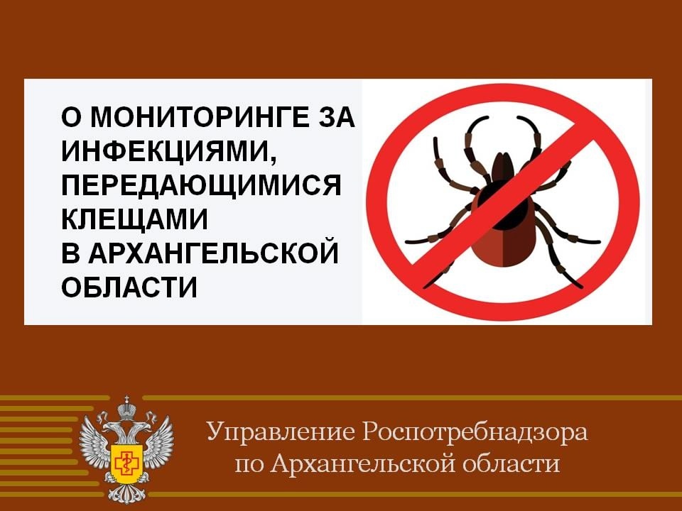 В Котласе зарегистрировано 712 случаев присасывания клещей.