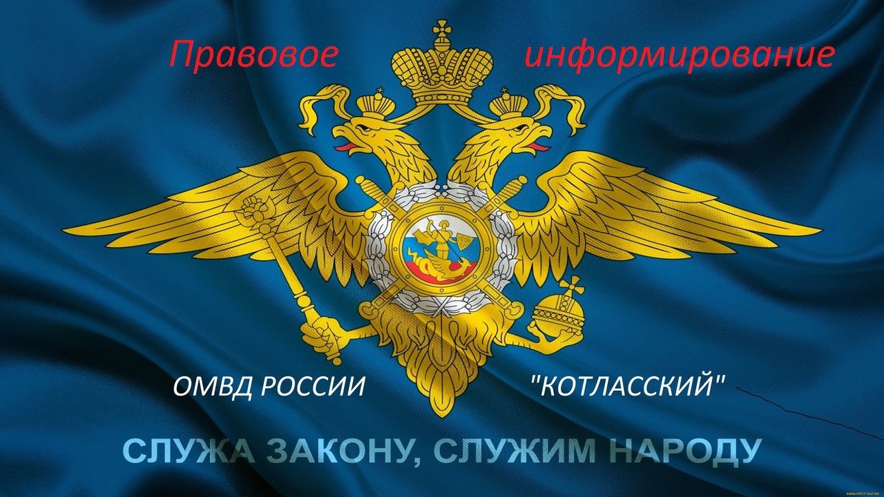 Июнь стал месяцем огромных потерь из-за мошенников.