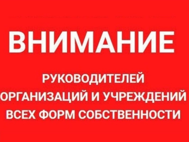 О мерах борьбы с нелегальной занятостью в 2025 году.