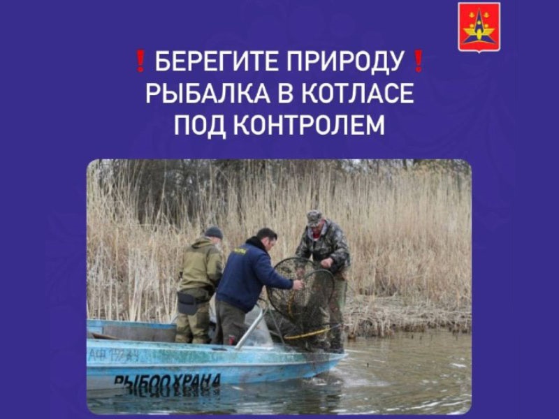 МО МВД России &quot;Котласский&quot; пресекает незаконную рыбную ловлю.